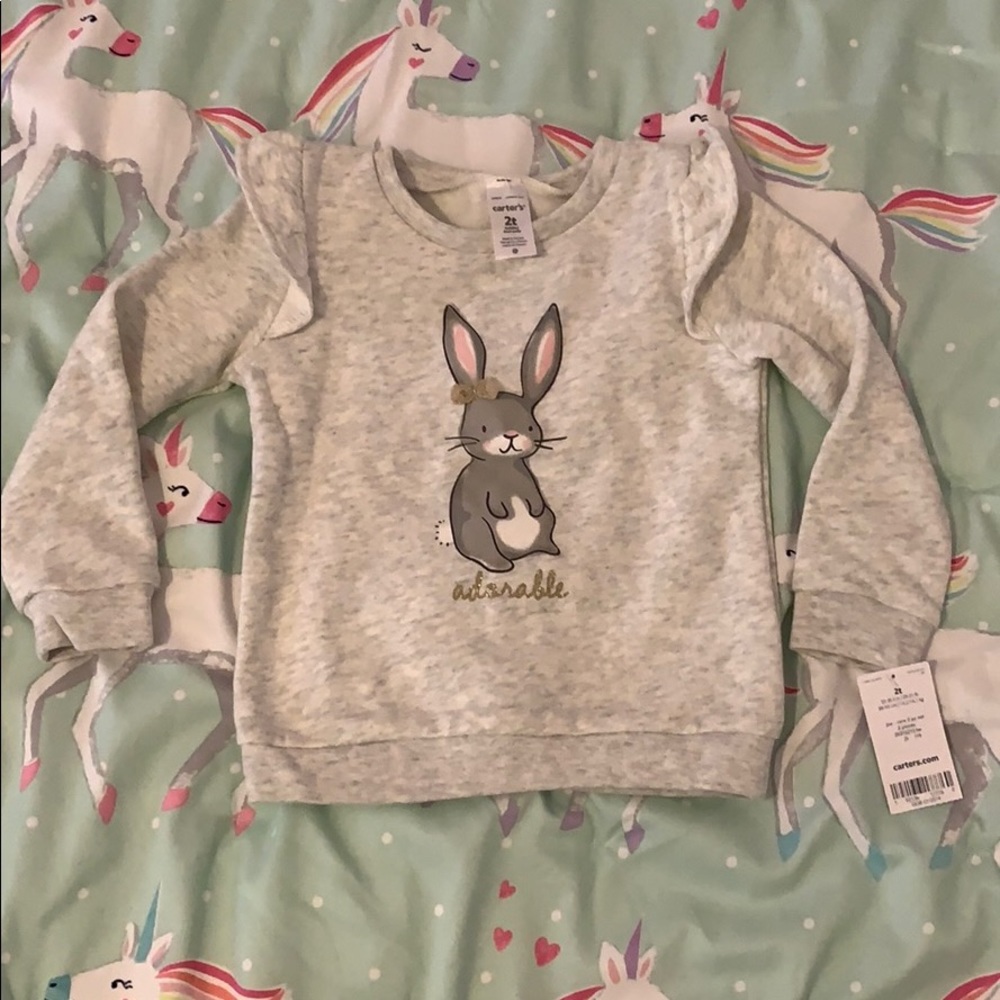 Carter 2T Easter Sweater